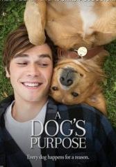 A Dogs Purpose                หมา เป้าหมาย และเด็กชายของผม                2017