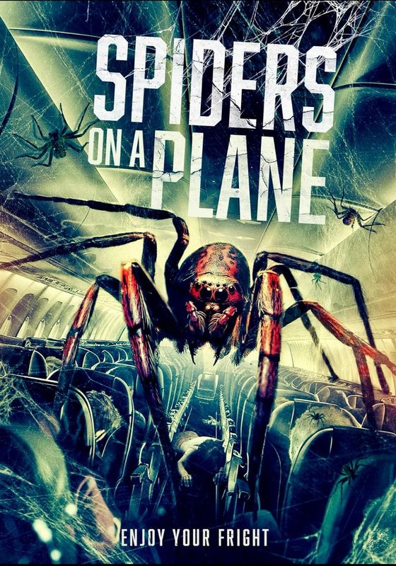Spiders on a Plane                                2024